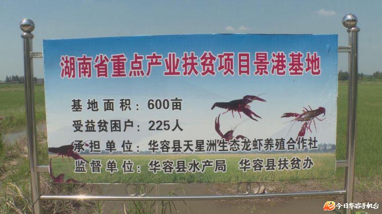 家庭贫困证明_农村贫困家庭人均收入(3)