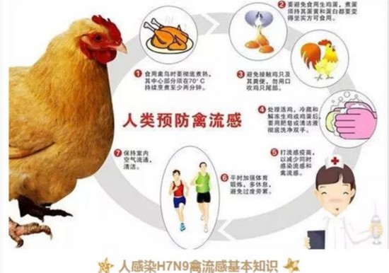 常德市暂未出现人感染h7n9禽流感病例