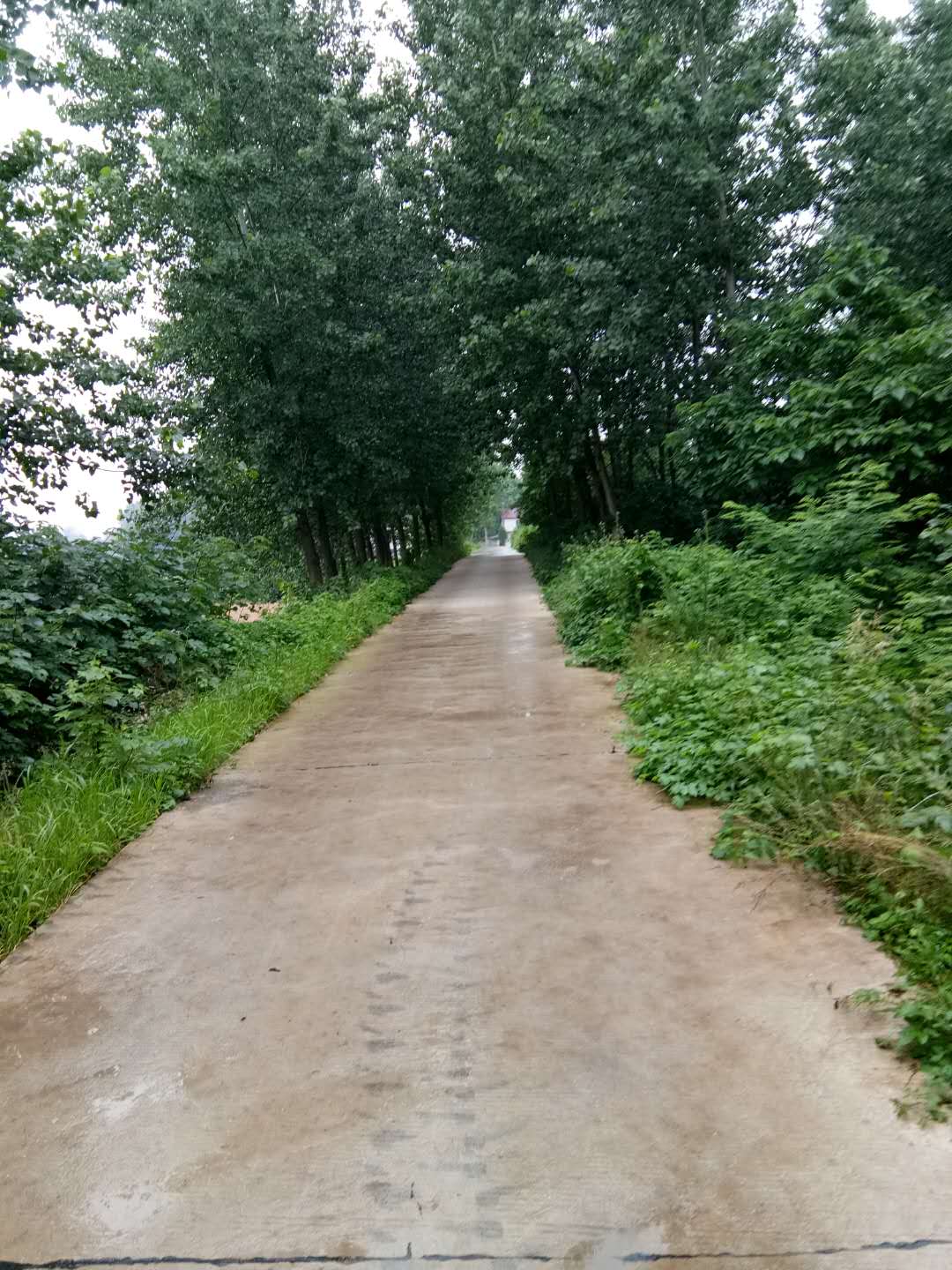 图片2.jpg 图片2.jpg