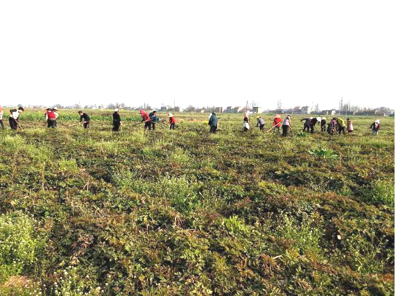 图片5.jpg 图片5.jpg