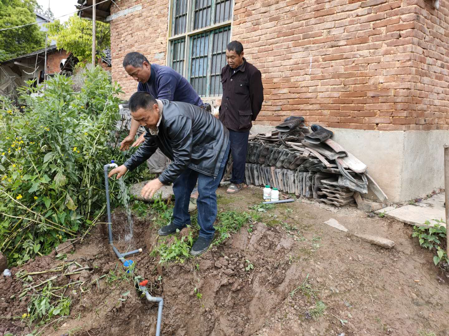 图片4.jpg 图片4.jpg