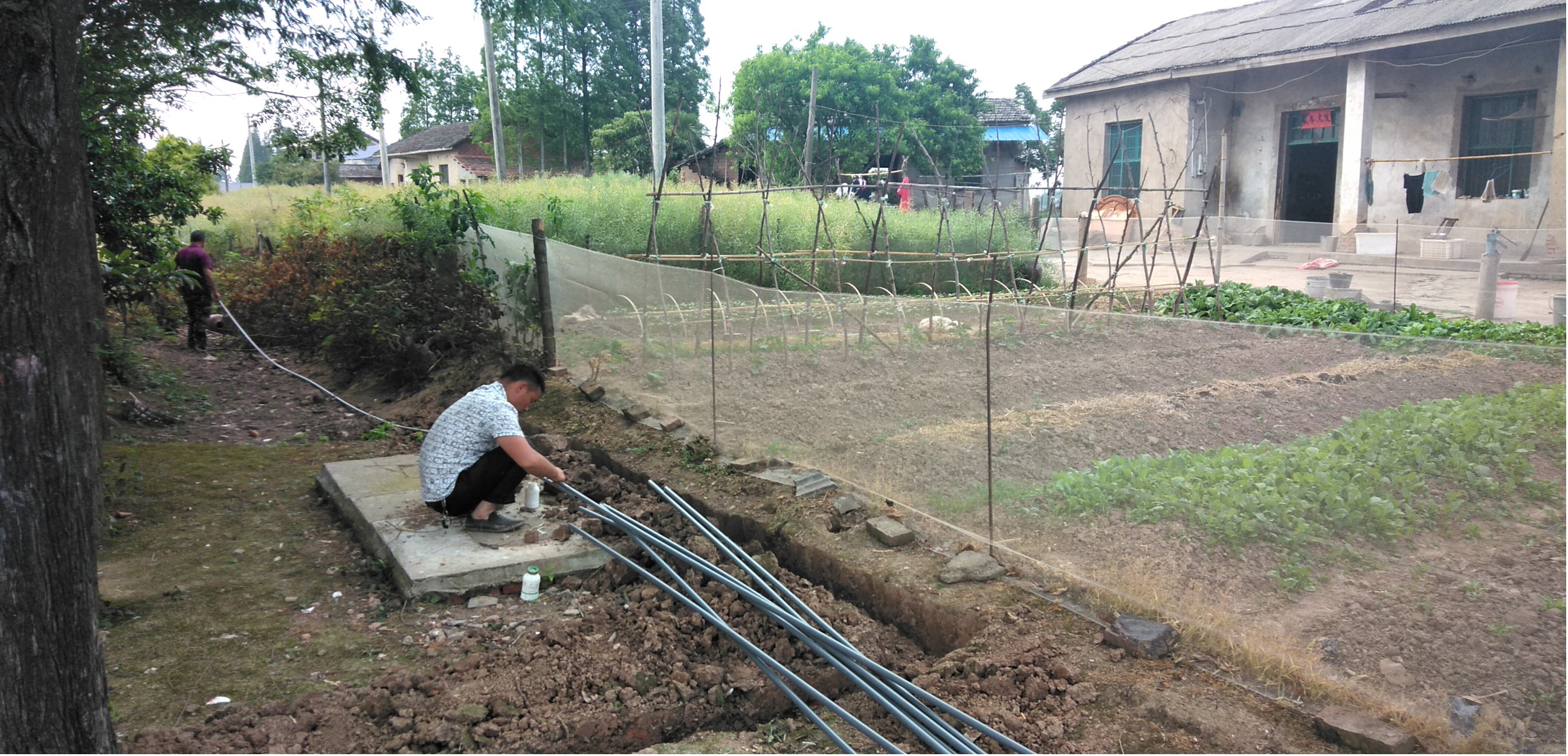 图片6.jpg 图片6.jpg