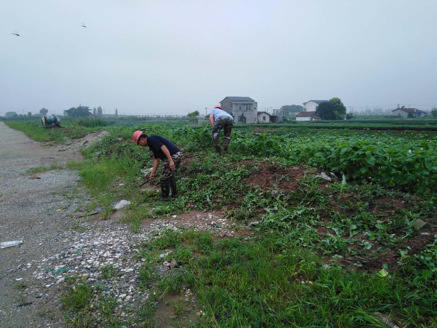 下载 (14).jpg 下载 (14).jpg