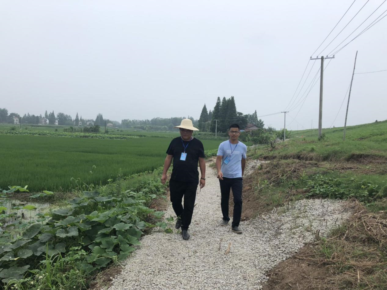 三封许杨.png 三封许杨.png