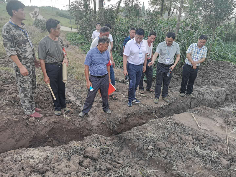 农商行_副本.png 农商行_副本.png