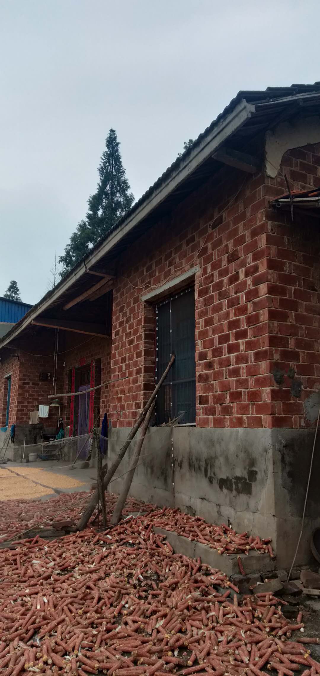 图片5.jpg 图片5.jpg