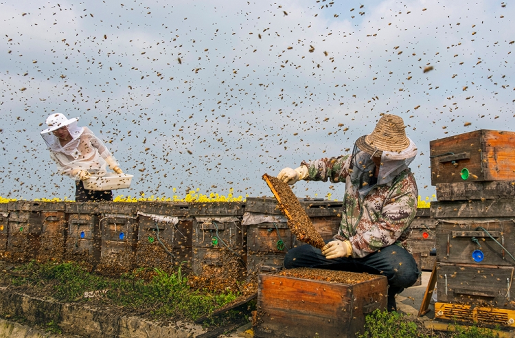 �������ˡ� ���ߣ�����Ƽ