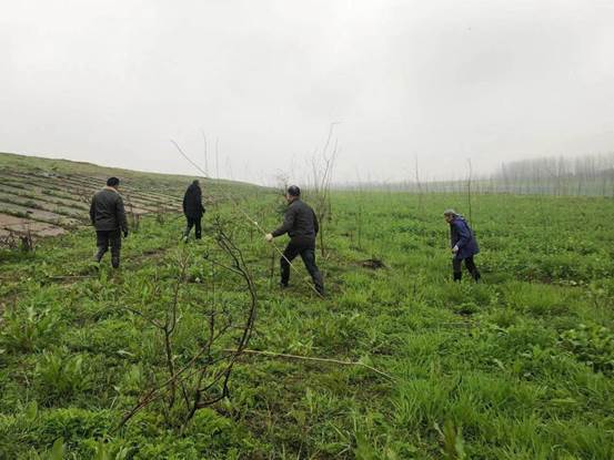 45bf3db9d5f6fd8d84061faad8c2e6f