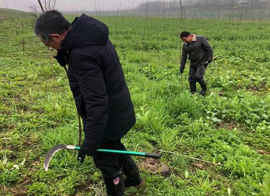 b28097c439a39512da89c6ac1d7f86a