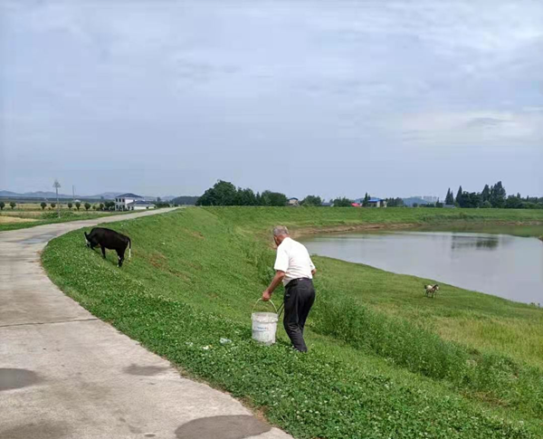 ed2ed99b-c5b0-4cea-8836-fad75a596c39_副本.png ed2ed99b-c5b0-4cea-8836-fad75a596c39_副本.png