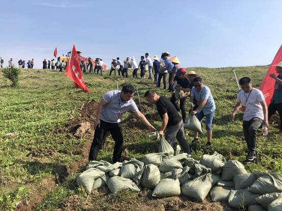 37d06cb90219875a3c5068c3265129a