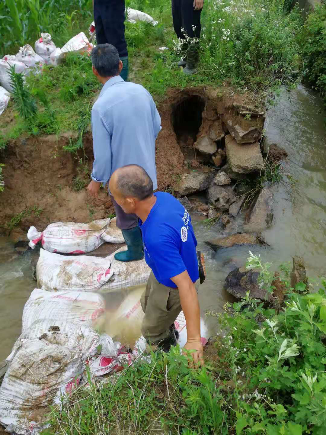 图片3.png 图片3.png