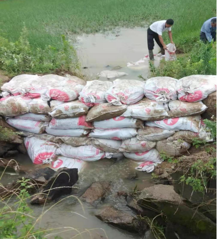 图片4.png 图片4.png