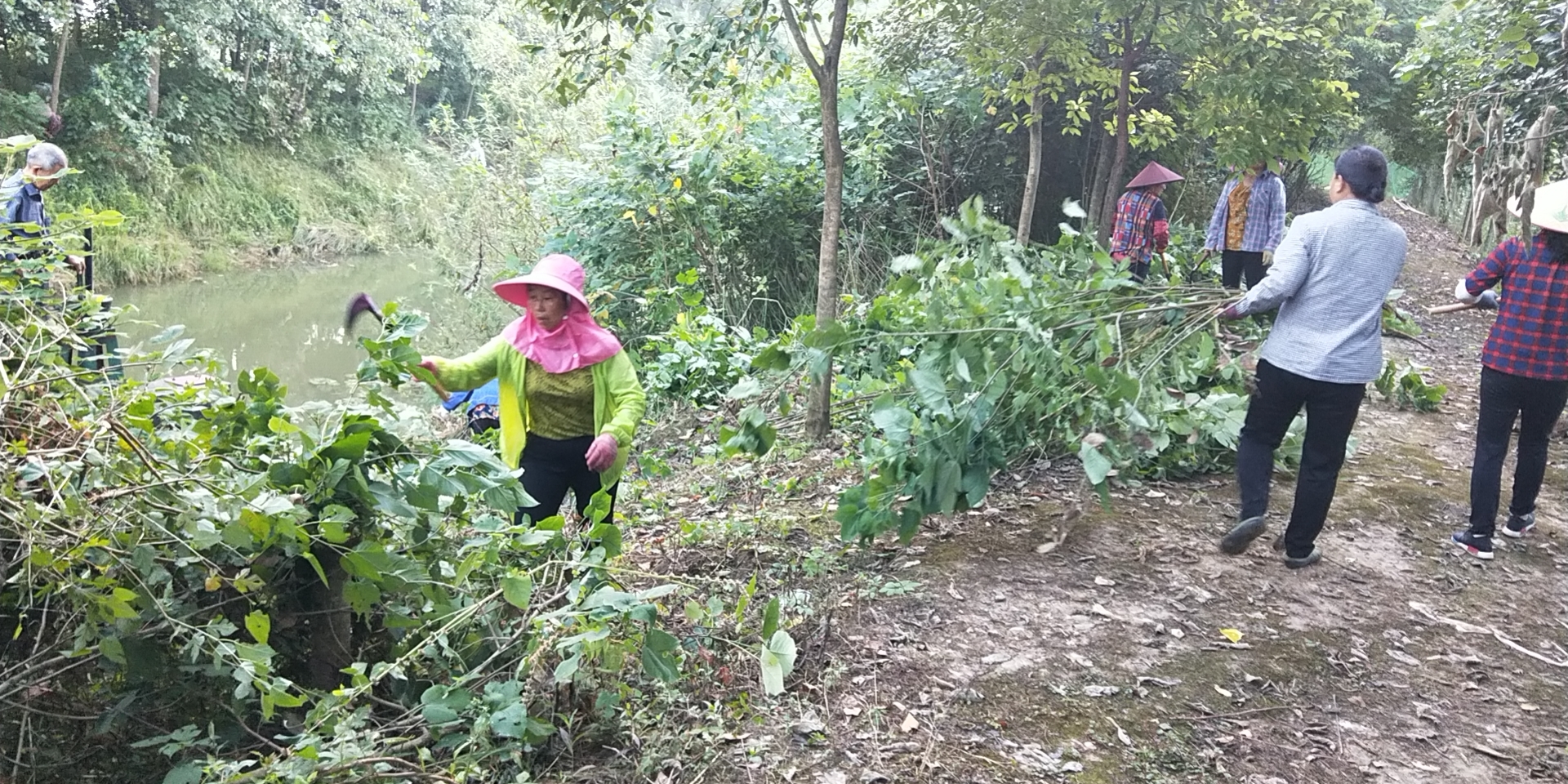 微信图片_20210723111401.jpg 微信图片_20210723111401.jpg