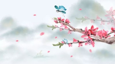 t010b40c319c62c3b95.jpg t010b40c319c62c3b95.jpg