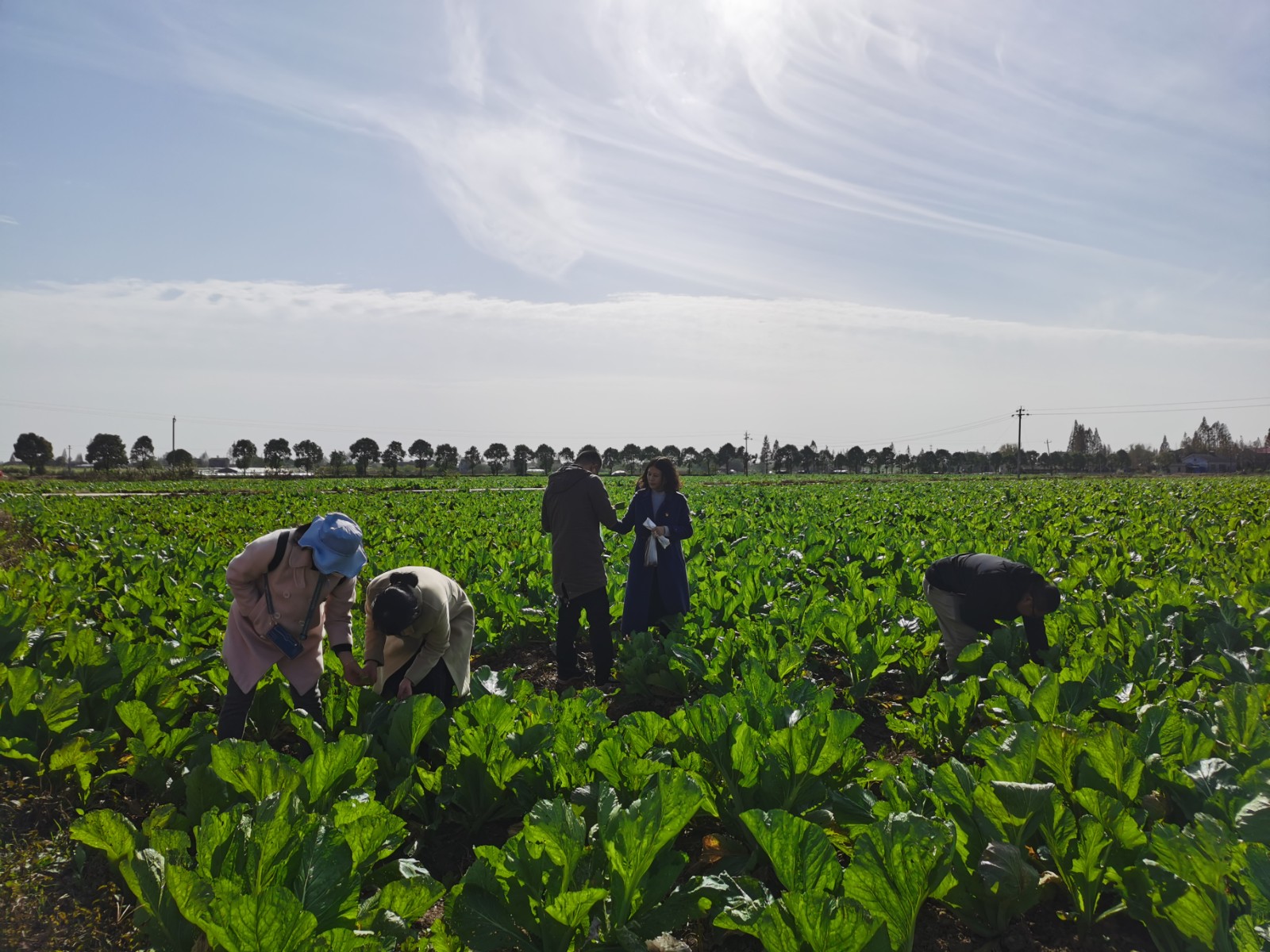 微信图片_20211122181932.jpg 微信图片_20211122181932.jpg