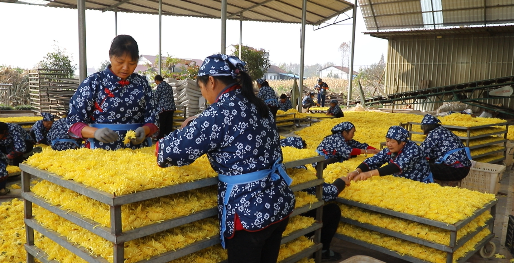 微信截图_20211120214646.png 微信截图_20211120214646.png