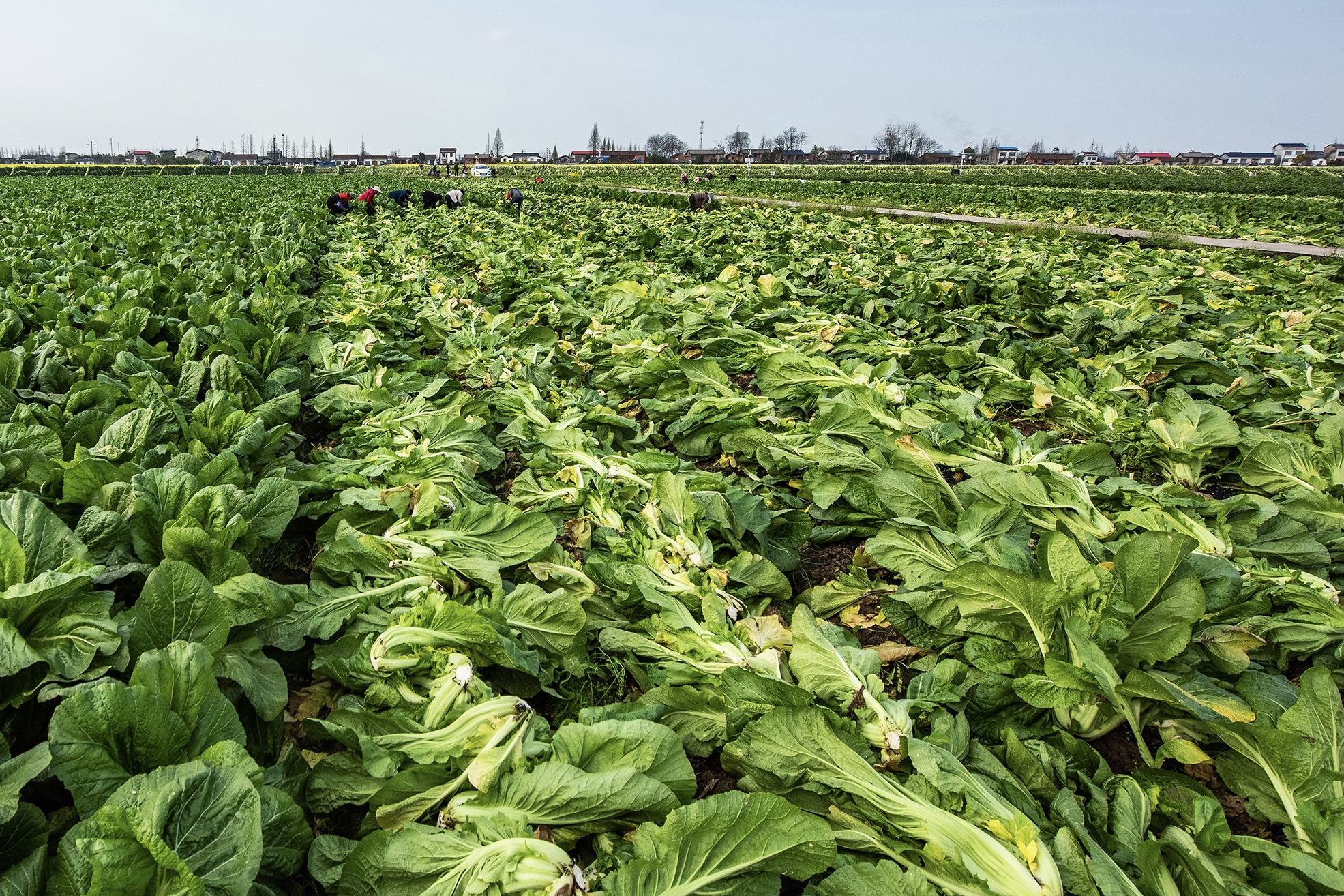 微信图片_20210407103903.jpg 微信图片_20210407103903.jpg