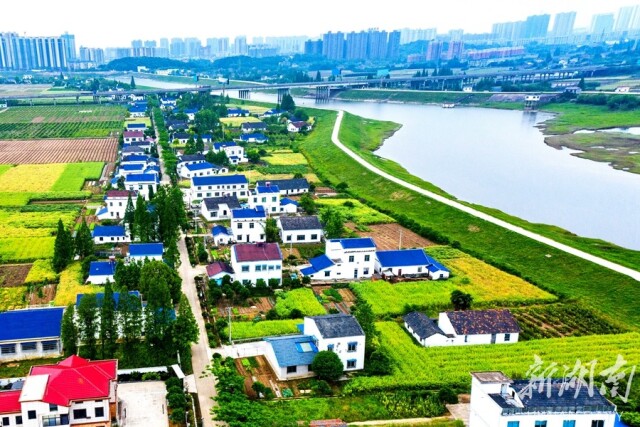 万庾镇:湘北粮仓的振兴诗篇