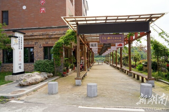 万庾镇:湘北粮仓的振兴诗篇