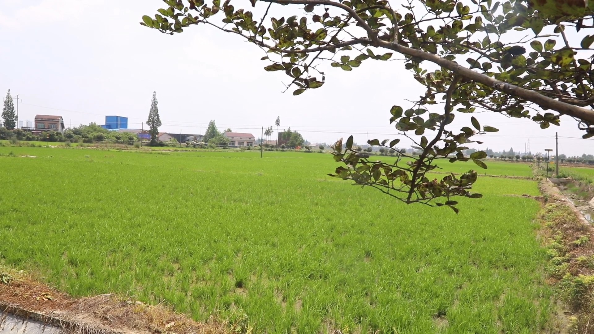 微信图片_20220525112033.jpg 微信图片_20220525112033.jpg