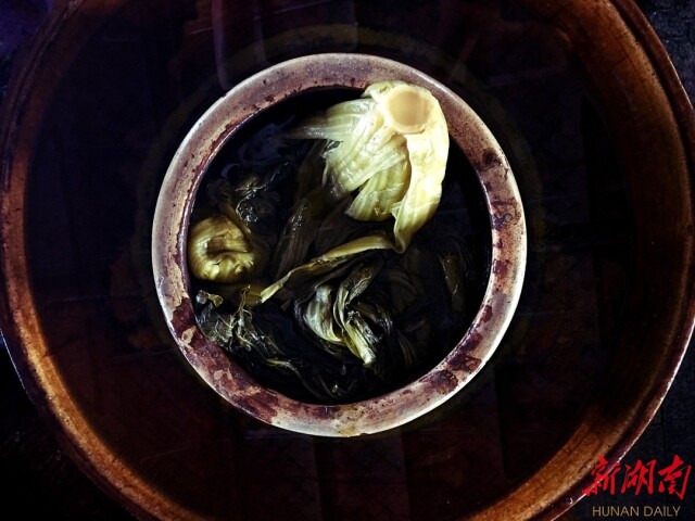 华容芥菜,浴火重生!