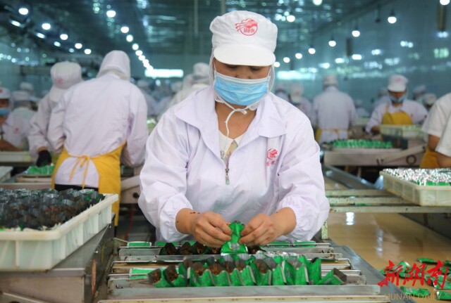 华容芥菜,浴火重生!