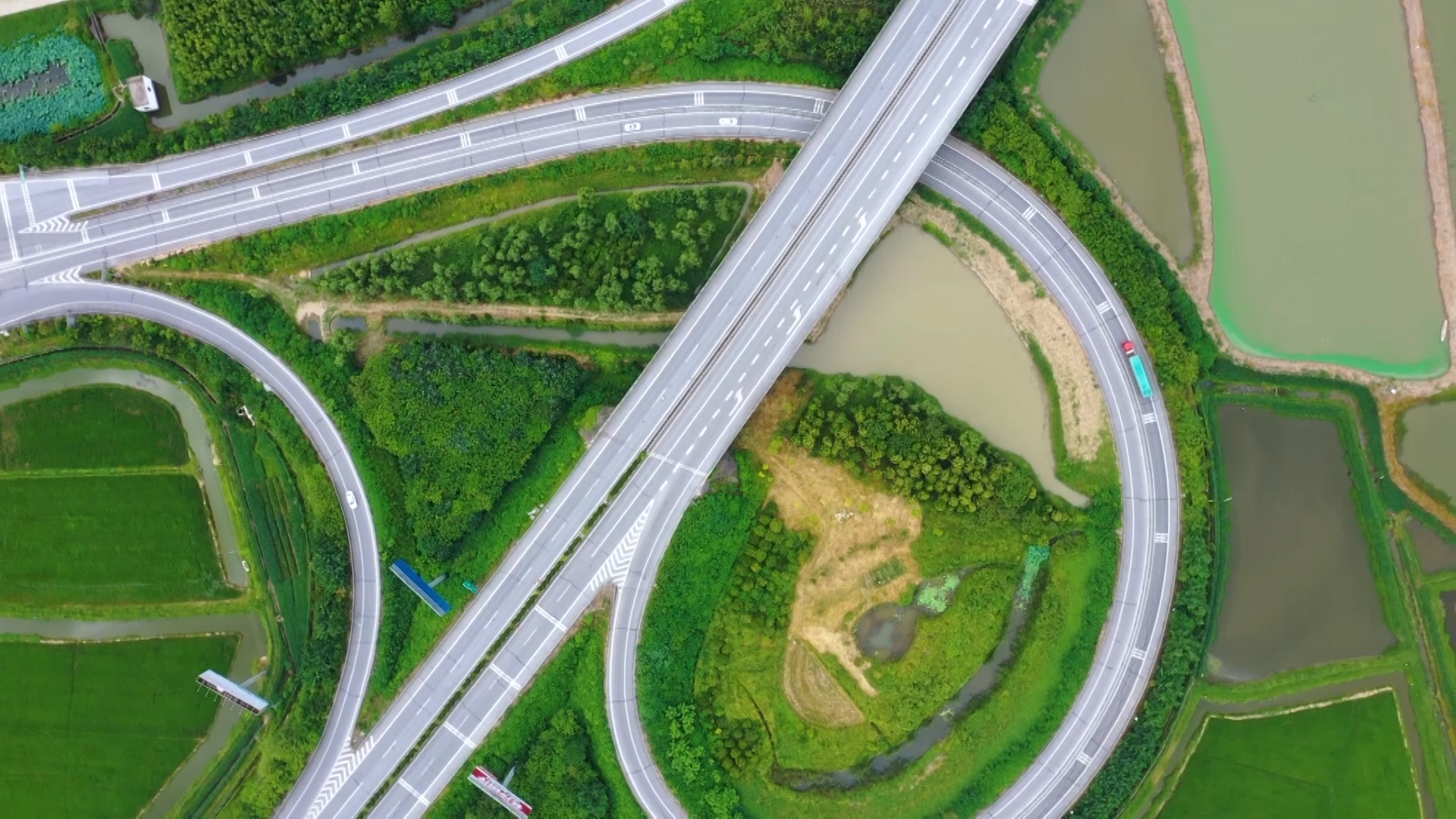 20220904 张帆 跆拳道运动员全力以赴求突破.00_01_48_05.静止001.jpg 20220904 张帆 跆拳道运动员全力以赴求突破.00_01_48_05.静止001.jpg