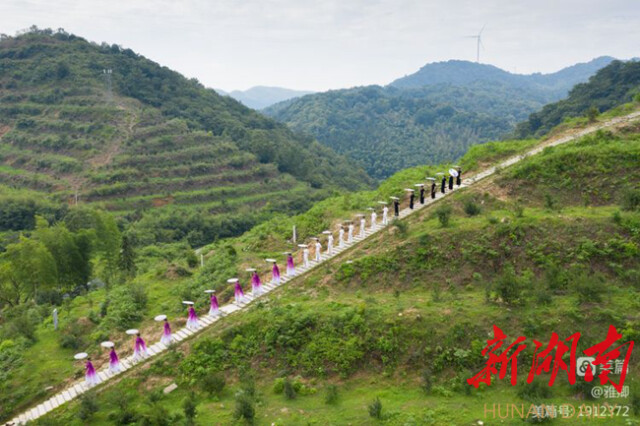 ���ݣ��������������   ��������������