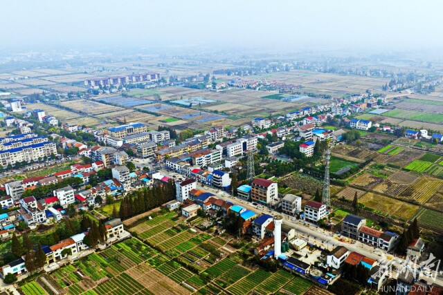 治河渡镇:稻香鱼肥蔬果足 农旅观光效益丰