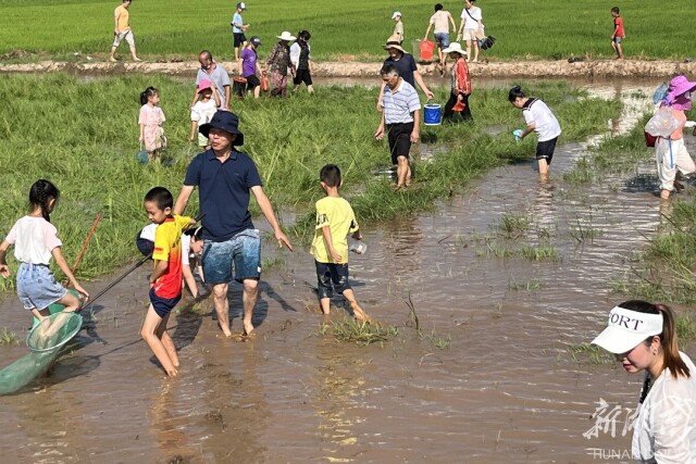 治河渡镇:稻香鱼肥蔬果足 农旅观光效益丰