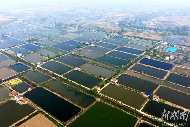 治河渡镇:稻香鱼肥蔬果足 农旅观光效益丰