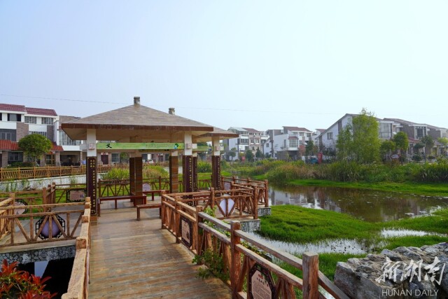 治河渡镇:稻香鱼肥蔬果足 农旅观光效益丰