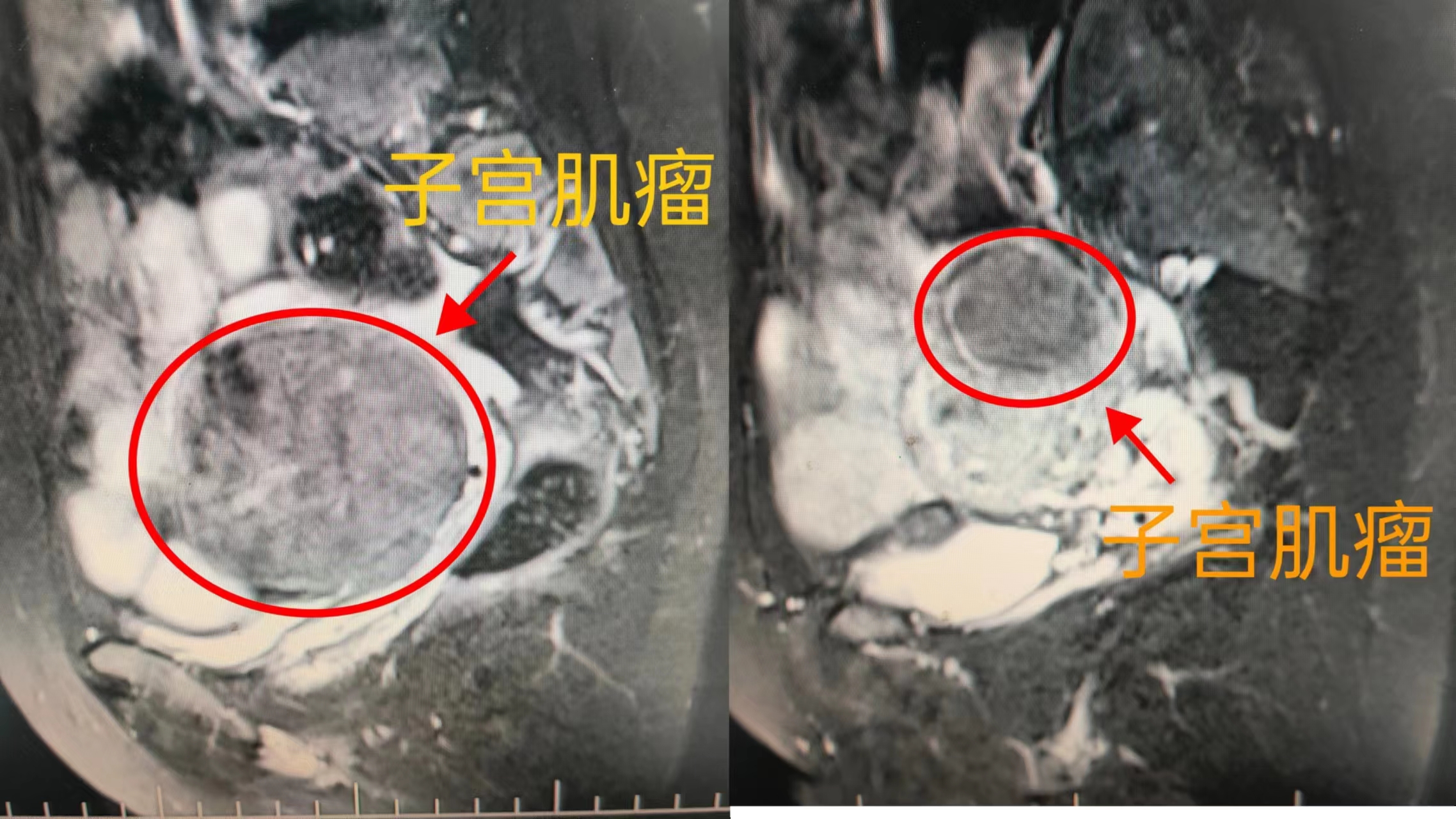 微信图片_20221207170404.jpg 微信图片_20221207170404.jpg