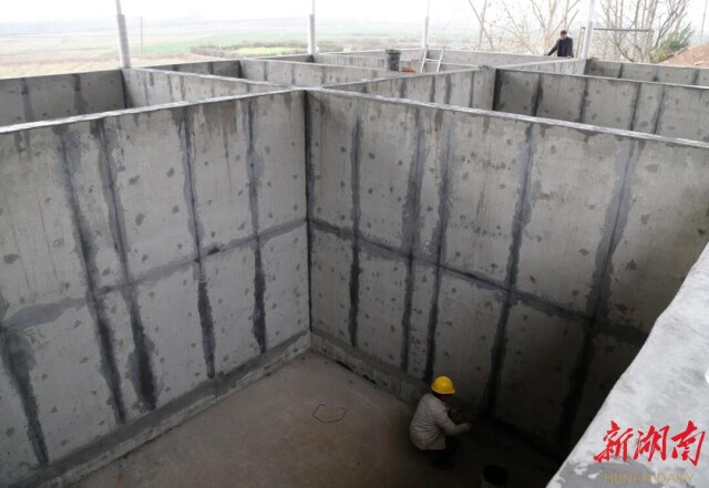 湖南日报·新春走基层| 华容菜农的幸福年