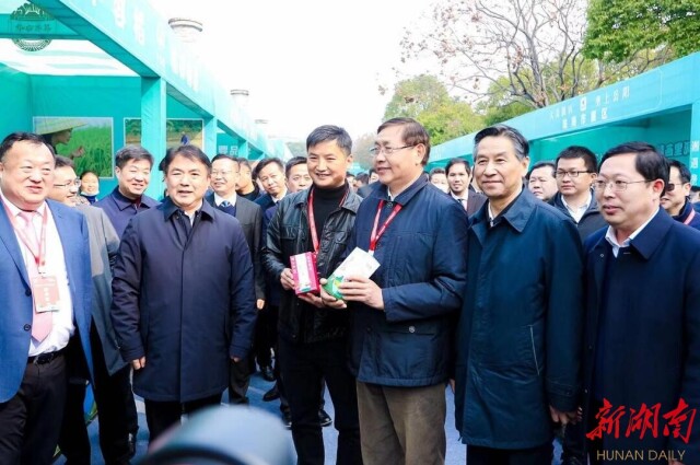 华容芥菜,迎来春天