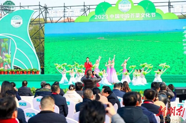 华容芥菜,迎来春天