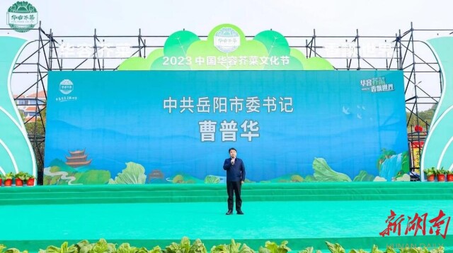 华容芥菜,迎来春天