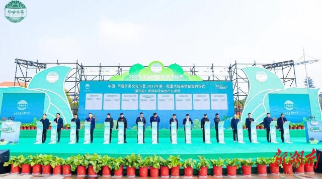 华容芥菜,迎来春天