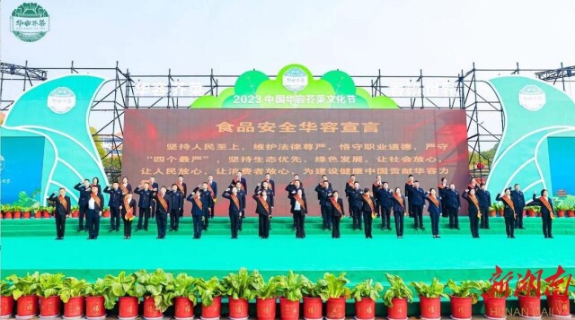 华容芥菜,迎来春天