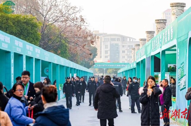 华容芥菜,迎来春天