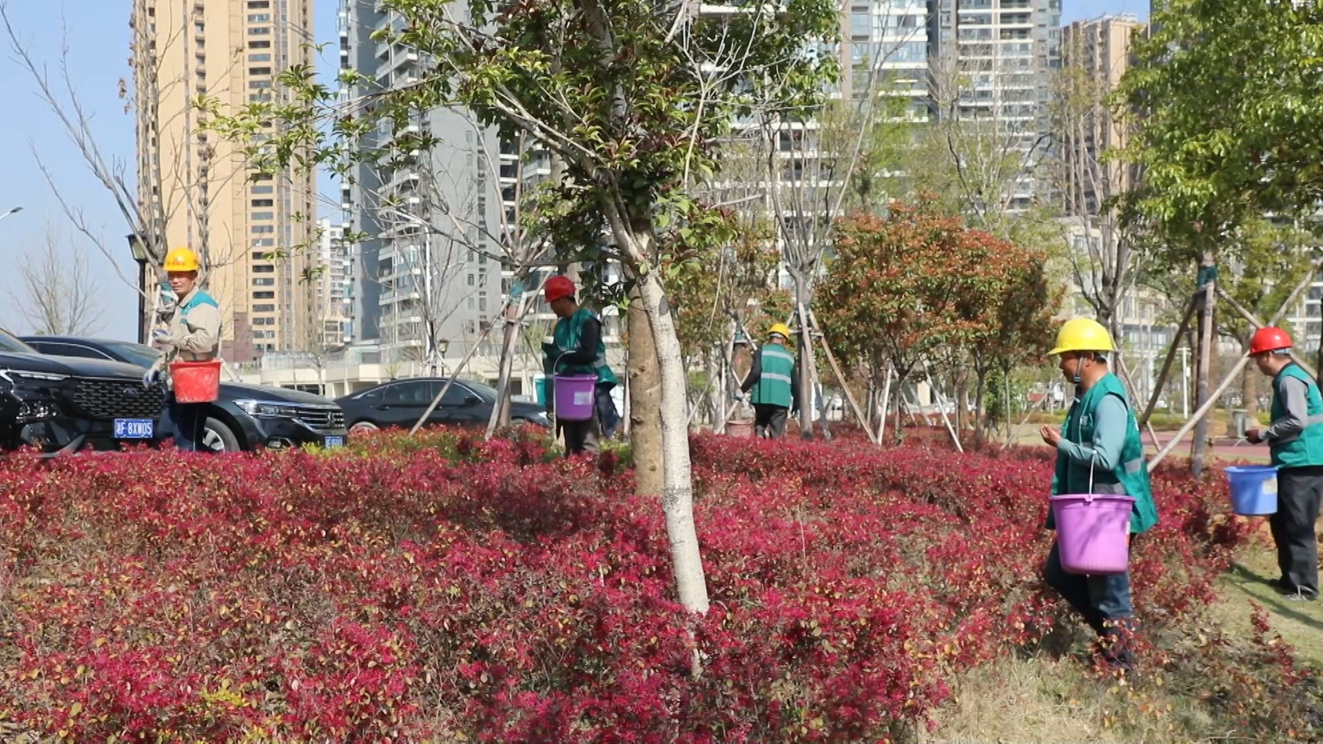 华容:城区绿化覆盖率达41.21% 居民家门口享“生态福利”