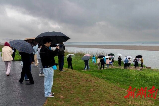 守护好一江碧水!岳阳,五年蝶变展新姿