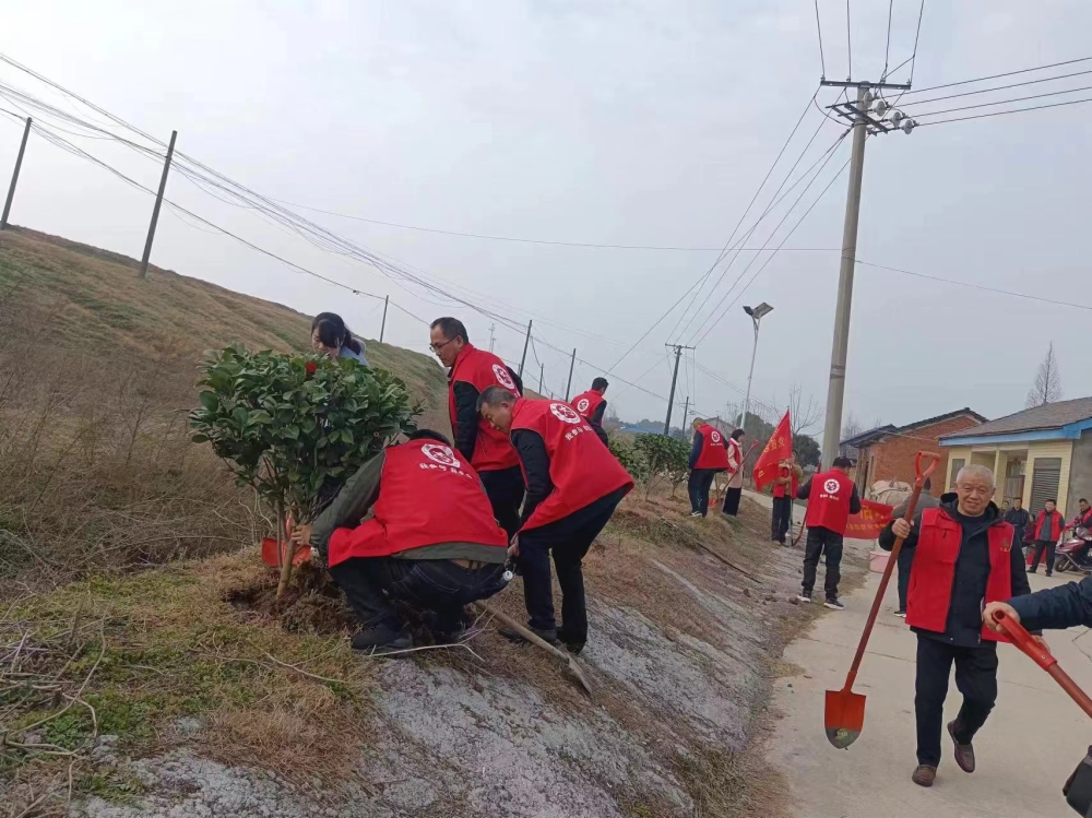 微信图片_20240311152150.jpg 微信图片_20240311152150.jpg