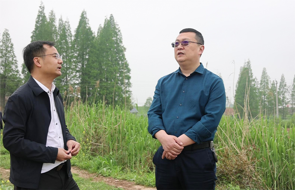 陈胜开展巡林,巡田并督导春耕生产和粮食安全工作-华容县政府网