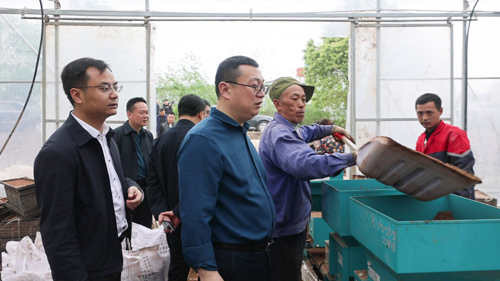 陈胜开展巡林,巡田并督导春耕生产和粮食安全工作-华容县政府网