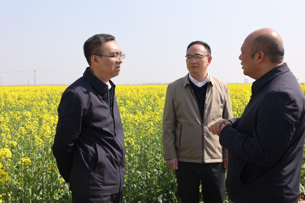 微信图片_20250317192911.jpg 微信图片_20250317192911.jpg