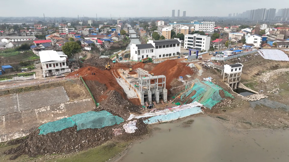 ᡰˮ⡱ ΡΡݡʮ塱ˮչʵ