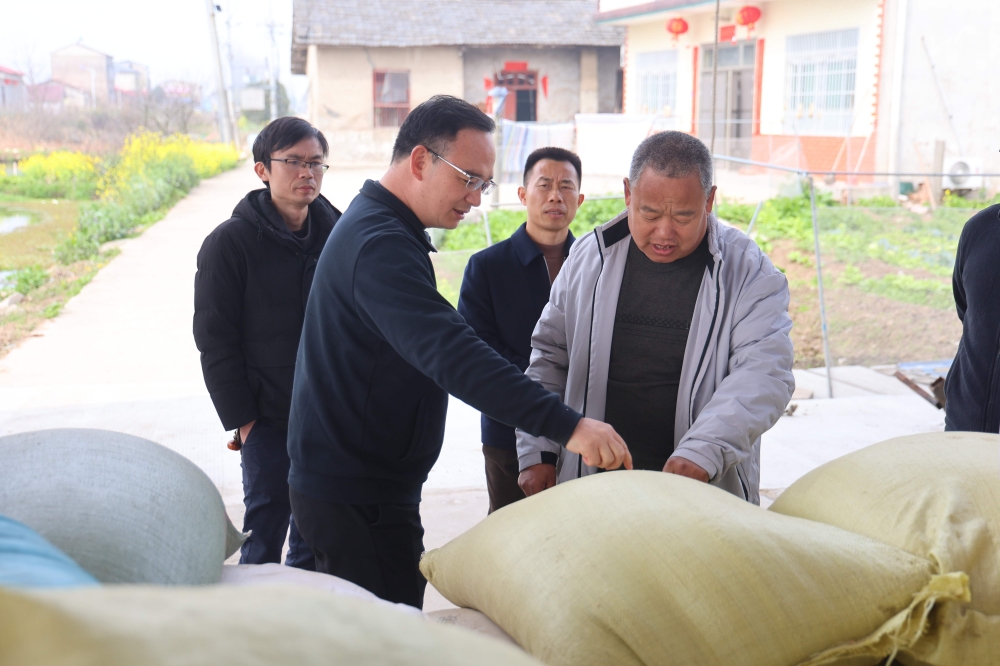 ����ƽ����������������