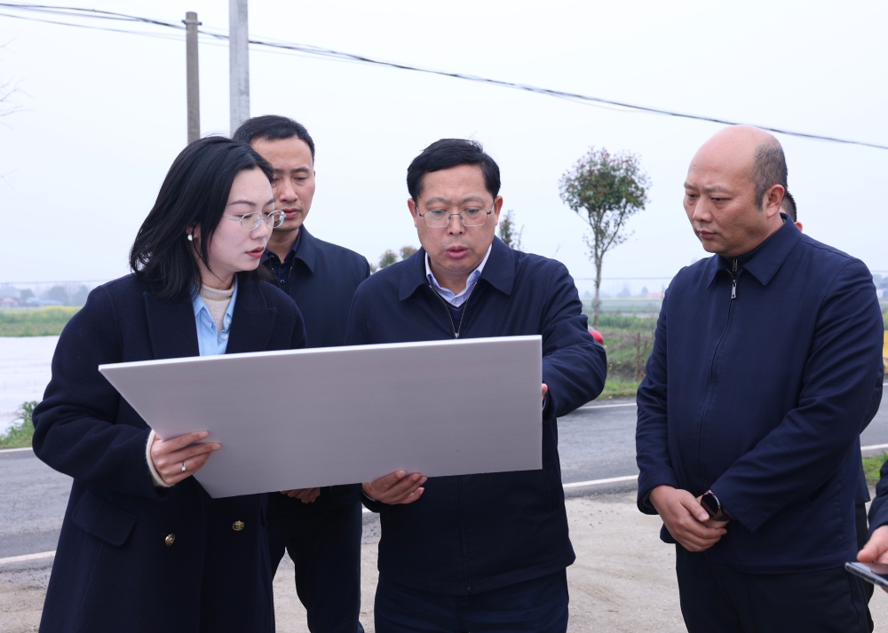 ��ΰ������������������Ѵ��Ѵ���ص㹤������չѲ��Ѳ��